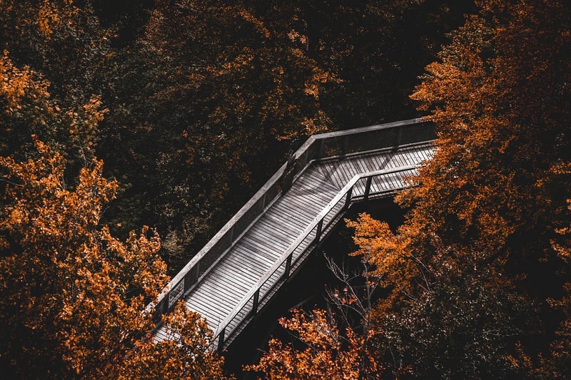 Whispering Path